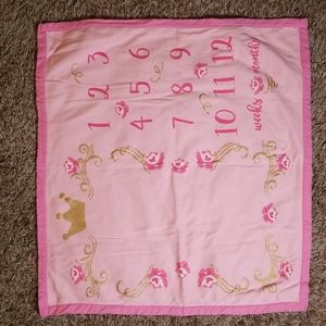 4S3.  Baby milestone blanket (girl)
